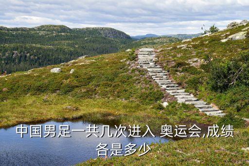 2016年中國(guó)足球進(jìn)奧運(yùn)會(huì)嗎,1988年中國(guó)足球參加奧運(yùn)會(huì)