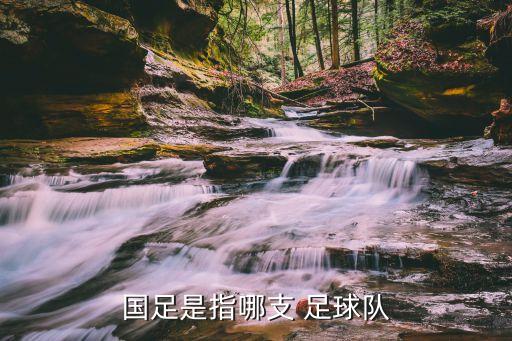 國(guó)足是指哪支 足球隊(duì)
