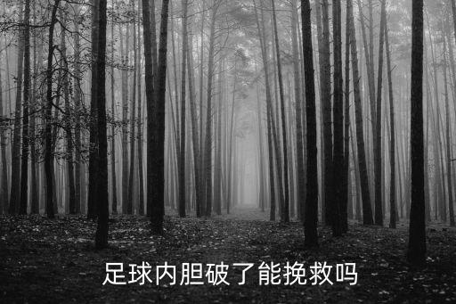 足球破了怎么補(bǔ),足球皮開(kāi)了怎么補(bǔ)