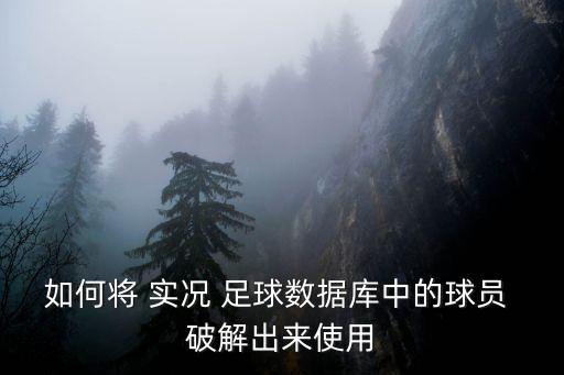 如何將 實(shí)況 足球數(shù)據(jù)庫(kù)中的球員 破解出來使用