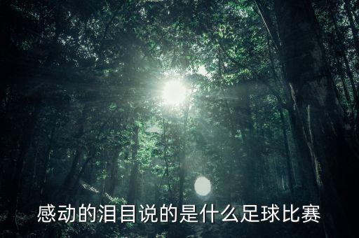 感動(dòng)的淚目說的是什么足球比賽