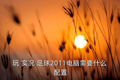 玩 實(shí)況 足球2011電腦需要什么 配置