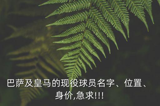 巴薩及皇馬的現(xiàn)役球員名字、位置、 身價,急求!!!