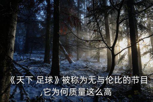 《天下 足球》被稱為無(wú)與倫比的節(jié)目,它為何質(zhì)量這么高