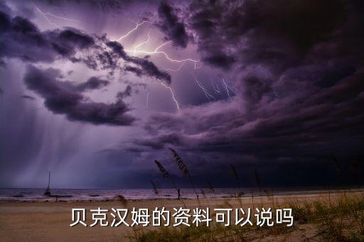 貝克漢姆的資料可以說(shuō)嗎