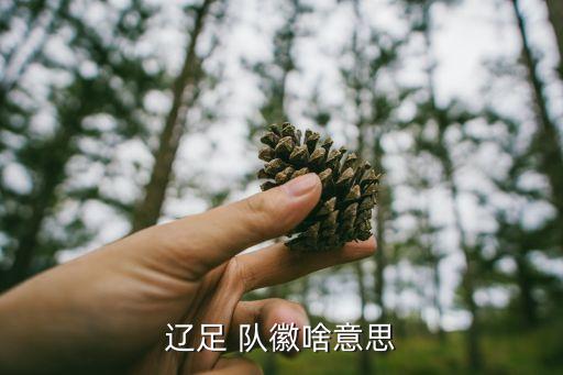 足球隊(duì)隊(duì)徽的含義是什么,中國(guó)國(guó)家足球隊(duì)隊(duì)徽的含義