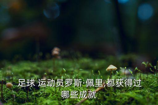  足球 運(yùn)動員羅斯·佩里,都獲得過哪些成就