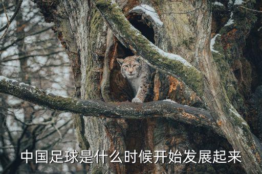 中國(guó)足球是什么時(shí)候開(kāi)始發(fā)展起來(lái)