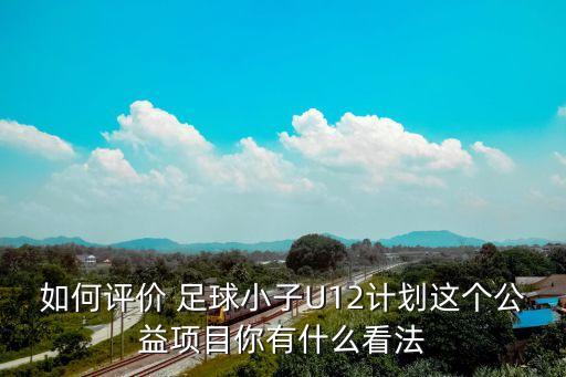如何評(píng)價(jià) 足球小子U12計(jì)劃這個(gè)公益項(xiàng)目你有什么看法