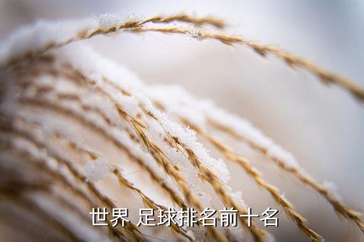 世界足球資料庫(kù)