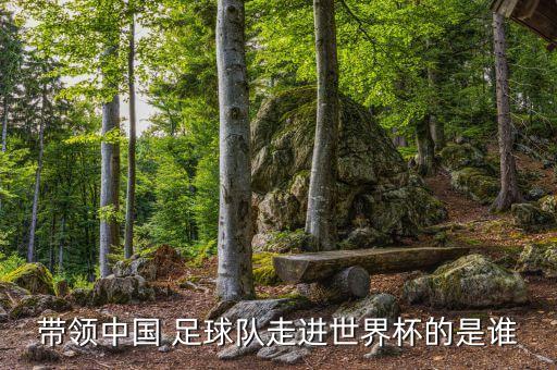 帶領中國 足球隊走進世界杯的是誰