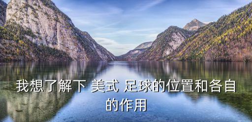 我想了解下 美式 足球的位置和各自的作用