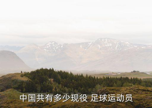 中國(guó)共有多少現(xiàn)役 足球運(yùn)動(dòng)員