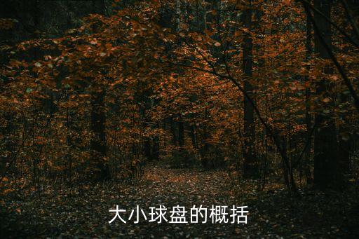 足球全場標準盤 12x,足球標準是幾號