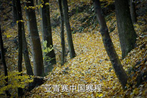亞青賽中國(guó)賽程
