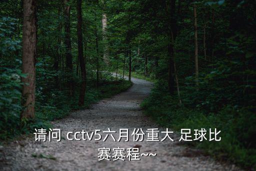 請問 cctv5六月份重大 足球比賽賽程~~