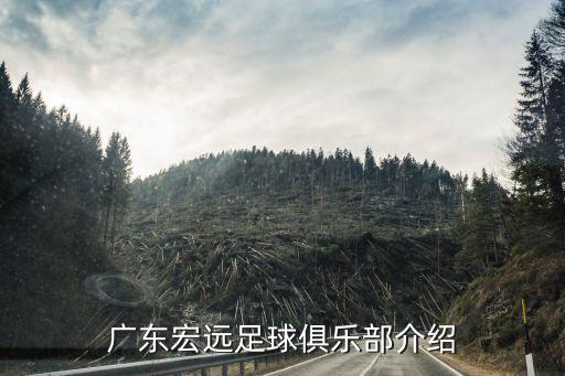 廣東宏遠足球俱樂部介紹