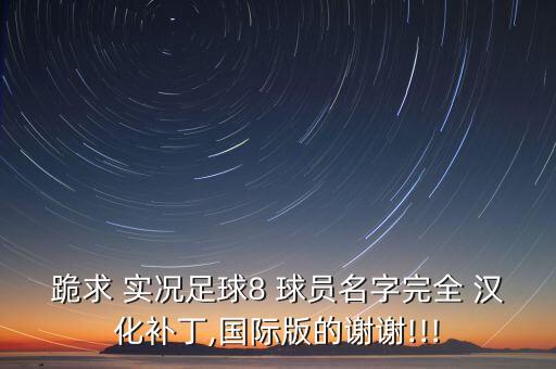 跪求 實況足球8 球員名字完全 漢化補(bǔ)丁,國際版的謝謝!!!