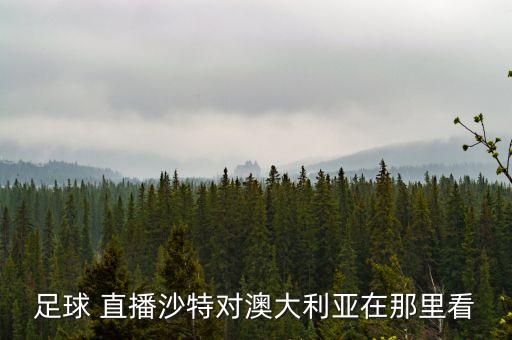 足球 直播沙特對(duì)澳大利亞在那里看