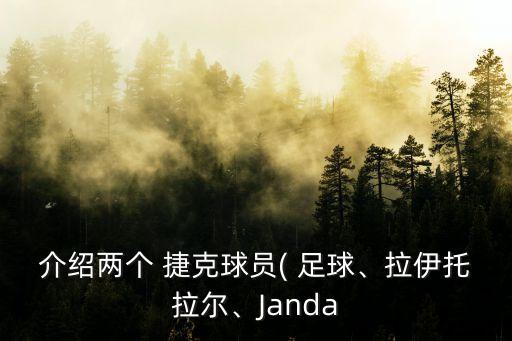介紹兩個 捷克球員( 足球、拉伊托拉爾、Janda