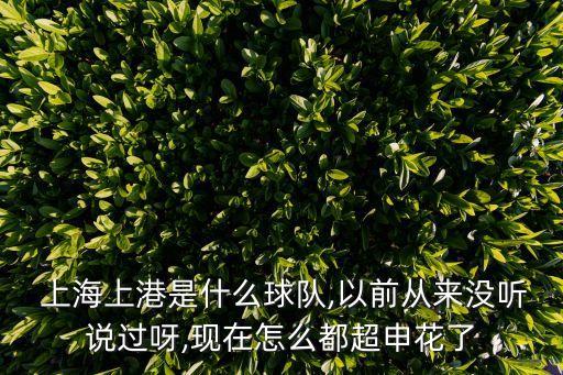  上海上港是什么球隊(duì),以前從來(lái)沒(méi)聽(tīng)說(shuō)過(guò)呀,現(xiàn)在怎么都超申花了