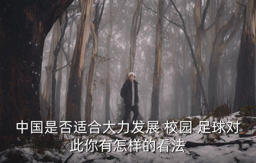 中國是否適合大力發(fā)展 校園 足球對此你有怎樣的看法