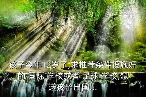 孩子今年12歲了,求推薦條件設(shè)施好的 國際 學(xué)校或者 足球 學(xué)校,想送孩子出國...