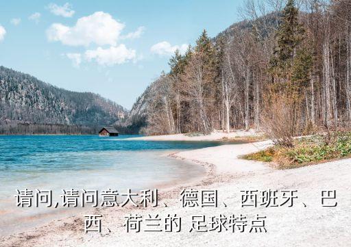 請問,請問意大利、德國、西班牙、巴西、荷蘭的 足球特點