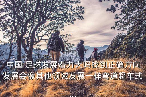 中國(guó) 足球發(fā)展?jié)摿Υ髥嵴业秸_方向發(fā)展會(huì)像其他領(lǐng)域發(fā)展一樣彎道超車(chē)式...