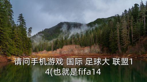 請問手機游戲 國際 足球大 聯(lián)盟14(也就是fifa14
