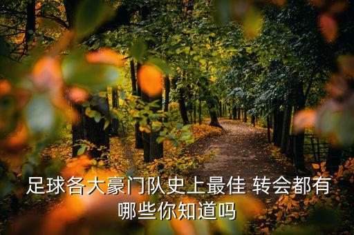  足球各大豪門隊(duì)史上最佳 轉(zhuǎn)會(huì)都有哪些你知道嗎