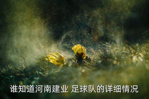 洛陽(yáng)有足球隊(duì)嗎,洛陽(yáng)三中足球隊(duì)俱樂(lè)部