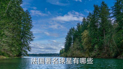 法國足球隊(duì)員名單