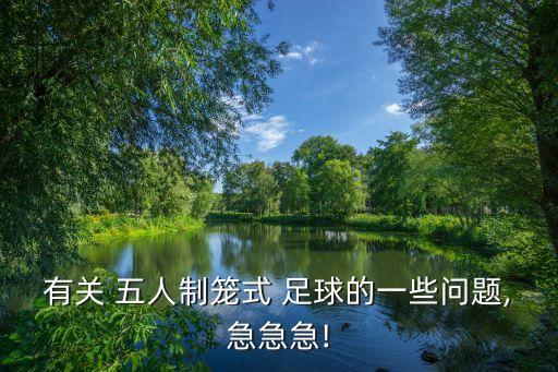 有關 五人制籠式 足球的一些問題,急急急!
