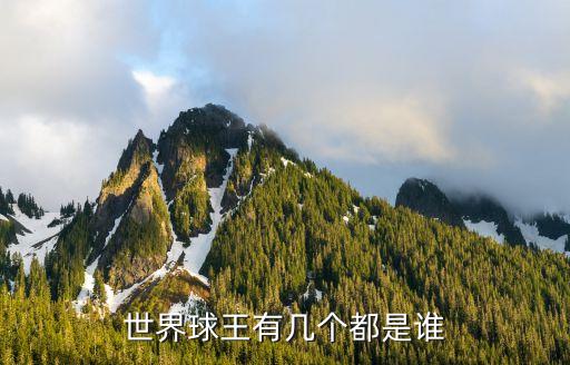 世界球王有幾個都是誰