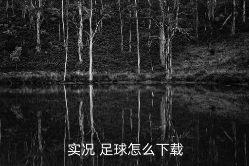 實(shí)況足球7是日語(yǔ)解說(shuō)