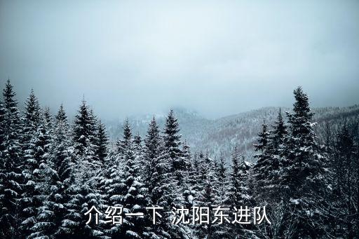介紹一下 沈陽東進隊
