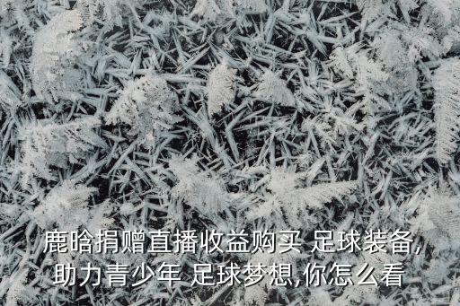  鹿晗捐贈(zèng)直播收益購(gòu)買(mǎi) 足球裝備,助力青少年 足球夢(mèng)想,你怎么看