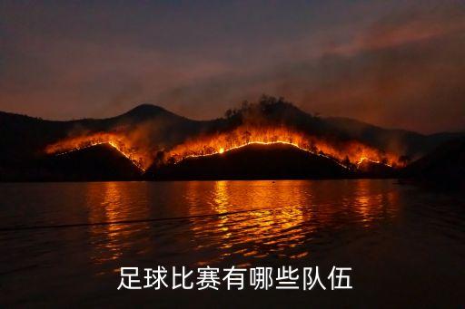  足球比賽有哪些隊伍