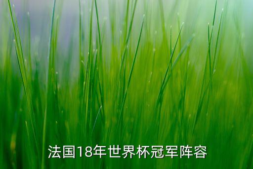  法國(guó)18年世界杯冠軍陣容