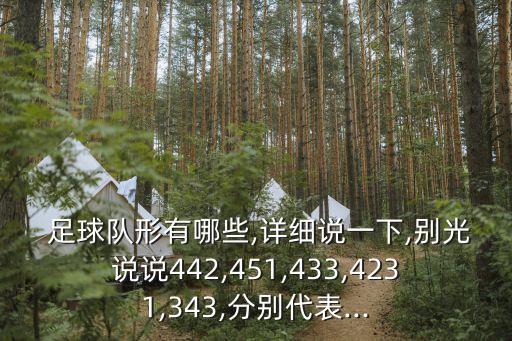  足球隊(duì)形有哪些,詳細(xì)說一下,別光說說442,451,433,4231,343,分別代表...
