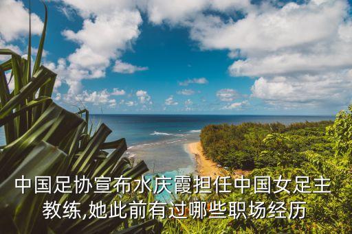 中國(guó)足協(xié)宣布水慶霞擔(dān)任中國(guó)女足主 教練,她此前有過哪些職場(chǎng)經(jīng)歷