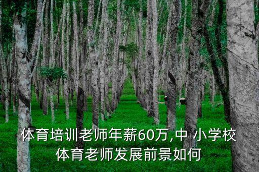 體育培訓(xùn)老師年薪60萬(wàn),中 小學(xué)校體育老師發(fā)展前景如何