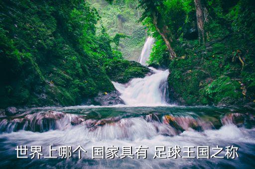 世界上哪個(gè) 國(guó)家具有 足球王國(guó)之稱(chēng)