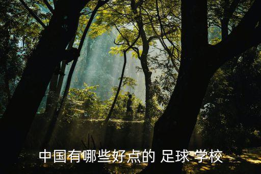 中國有哪些好點(diǎn)的 足球 學(xué)校