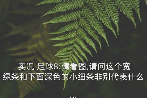  實況 足球8:請看圖,請問這個寬綠條和下面深色的小細(xì)條非別代表什么...