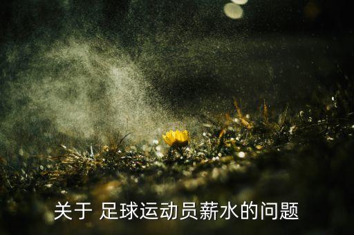 關(guān)于 足球運動員薪水的問題