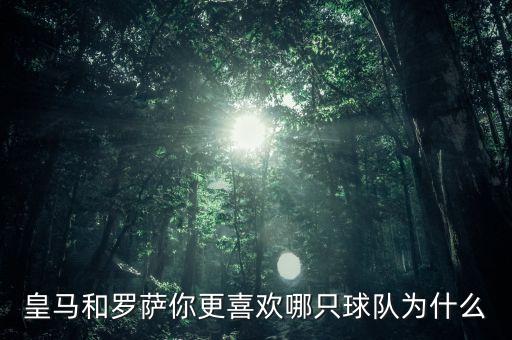 皇馬和羅薩你更喜歡哪只球隊為什么