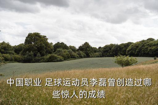中國(guó)職業(yè) 足球運(yùn)動(dòng)員李磊曾創(chuàng)造過(guò)哪些驚人的成績(jī)