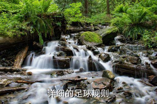 足球場(chǎng)離球門(mén)30碼,標(biāo)準(zhǔn)足球場(chǎng)球門(mén)尺寸是多少